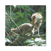 Squirrel magnets