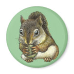Squirrel Refrigerator Magnets