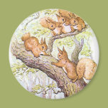 Squirrel Meeting Magnets