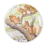 Squirrel Meeting Magnets