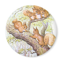 Squirrel Meeting Magnets