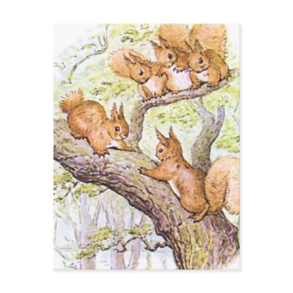 Squirrels