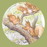 Squirrel Meeting Sticker