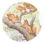 Squirrel Meeting Sticker