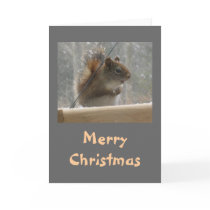 Squirrel Merry Christmas Greeting Cards