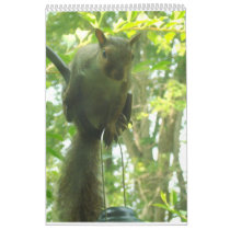 Squirrel Moments Wall Calendars