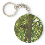 Squirrel Monkey and Baby Photo Key Chains