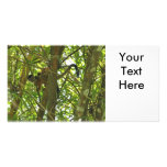 Squirrel Monkey and Baby Photo Picture Card
