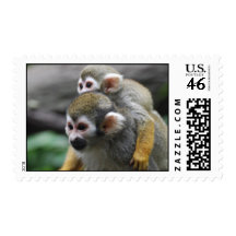 Squirrel Monkey Family Affair Postage Stamp