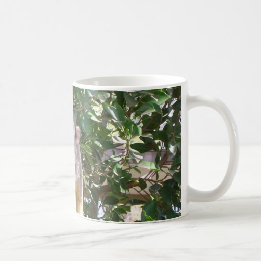 Squirrel Monkey Mug