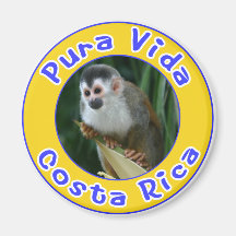 Squirrel Monkey, Pura Vida, Costa Rica Refrigerator Magnets