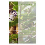 Squirrel Monkey Stationery