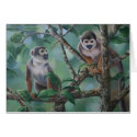 Squirrel Monkeys cards