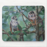 Squirrel Monkeys Mousemat Squirrel Monkeys Mousemat