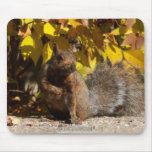 Squirrel - mousepad