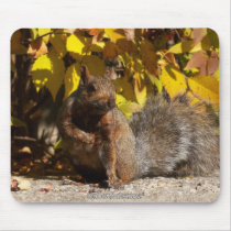Squirrel - mousepad by ForTheAnimals Squirrel - mousepad