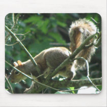 Squirrel mousepads