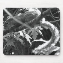 Squirrel mousepads