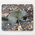 Squirrel Mousepad