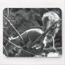 Squirrel mousepads