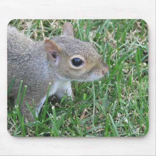 Squirrel Mousepad