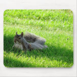 Squirrel Mousepad mousepads