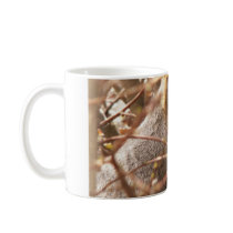 Squirrel Mug mugs