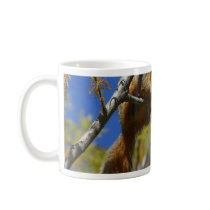 Squirrel Coffee Mugs