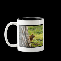 Squirrel mug mugs
