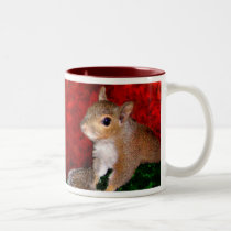 Squirrel Mug mugs