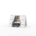 Squirrel Mug Shot Greeting Cards