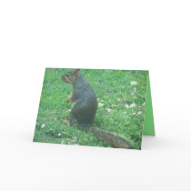 squirrel nutty blank note card by KatAnnette squirrel nutty blank note card