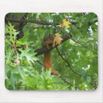 Squirrel On A Branch mousepads
