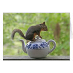 Squirrel on a Teapot Cards