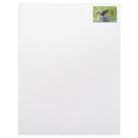 Squirrel on a Teapot Customized Letterhead