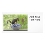 Squirrel on a Teapot Photo Cards