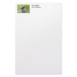 Squirrel on a Teapot Customized Stationery