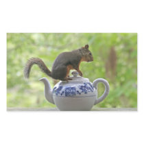 Squirrel on a Teapot Rectangle Sticker