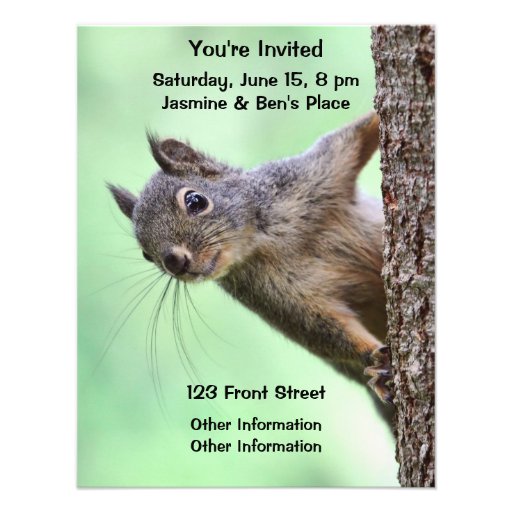 Squirrel On a Tree Announcements