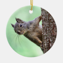 Squirrel On a Tree ornaments