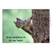 Squirrel On a Tree cards