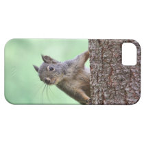 Squirrel On a Tree casemate cases