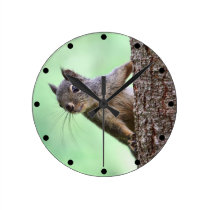 Squirrel On a Tree wall clocks