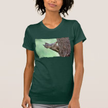 Squirrel On a Tree t-shirts