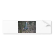 Squirrel on bird feeder bumper sticker