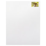 Squirrel on Cookie Jar Personalized Letterhead