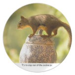 Squirrel on Cookie Jar Plates