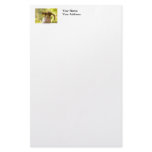 Squirrel on Cookie Jar Stationery