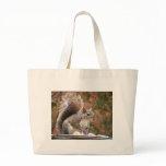 Squirrel on Feeder Tote Bags