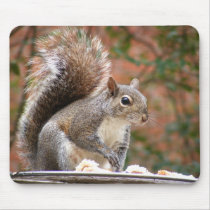 Squirrel on Feeder mousepads